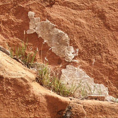 Valley of Fire 1980